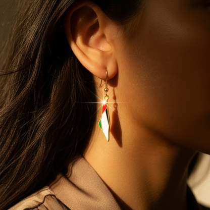 Nuraya Palestine Map Earrings