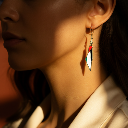 Nuraya Palestine Map Earrings
